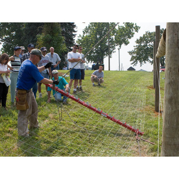 Top 10 Most Popular Chinese Animal Wire Mesh Fence Brands