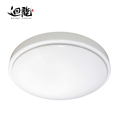 Hot Selling 12 Volt Round LED Spot Ceiling Lamp for Sitting Room1