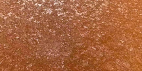 Scénarios d'application pour les tôles d'acier inoxydable bronze-or antique avec un motif de fissure de glace