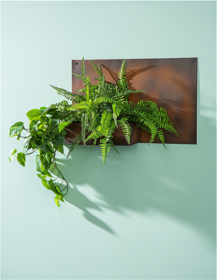 Bonsai Plant Pot