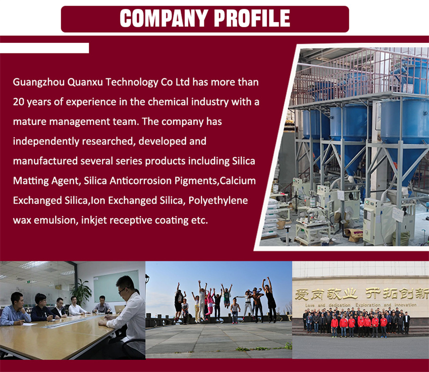 Company Profile