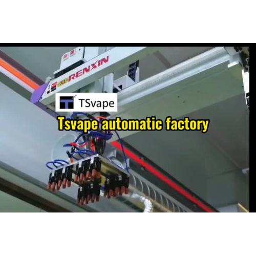 Tsvape electronic cigarette fully automatic factory