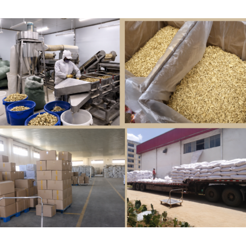 Linha de produção