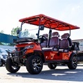 2025 Hot Sale Electric & Gasoline Golf Carts: 2-6 Seat Options1