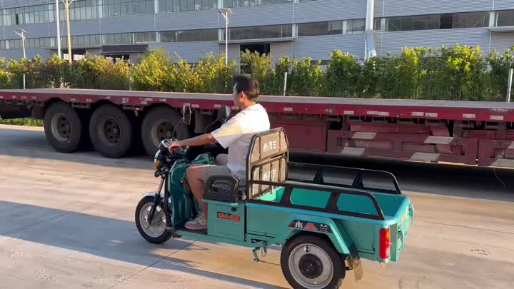 three wheel electric vehicle