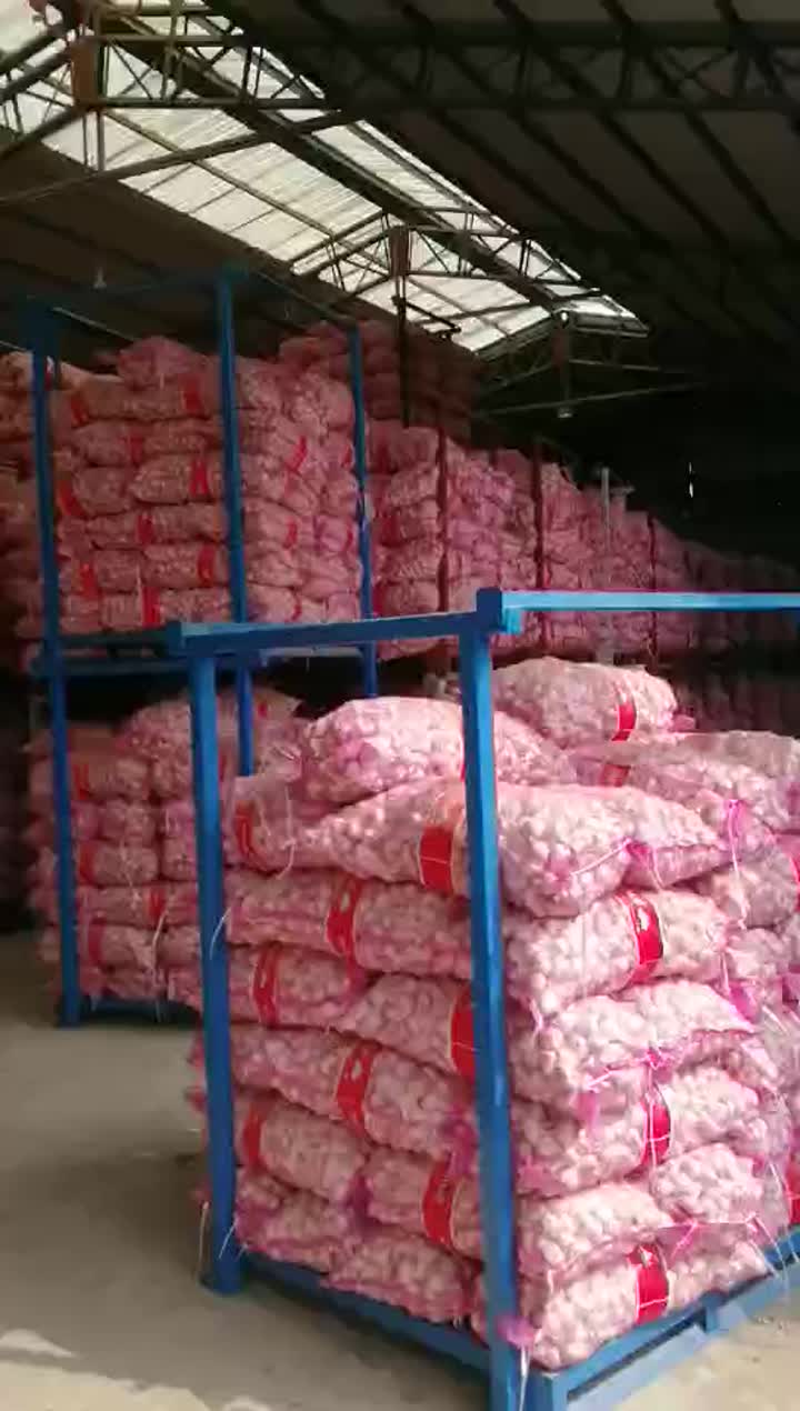 red garlic shipment