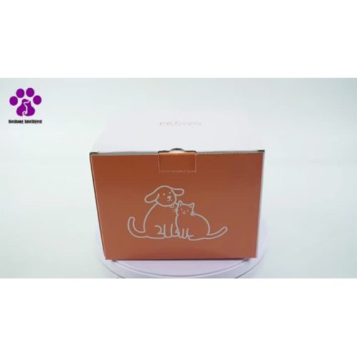 Pet water dispenser-FT100