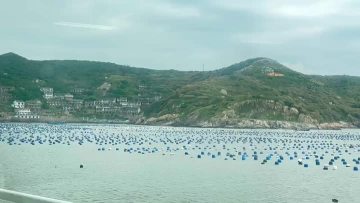 Shengsi Xiangyuan Aquatic Products Co.,Ltd.,