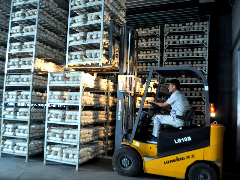 Shandong Qihe Bio Technology Co.,Ltd.