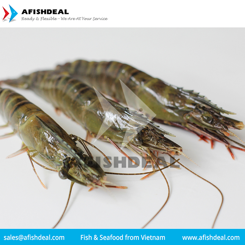 DONG PHUONG FISH & SEAFOOD COMPANY LIMITED