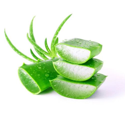 Aloe Vera Bitkisel Sıhhi Pedi