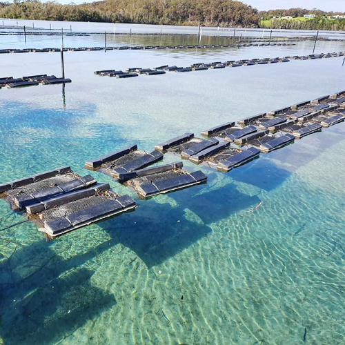 फोम फ्लोट के साथ स्वचालित टंबलिंग सिस्टम सीप केज