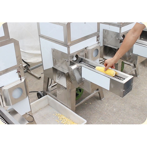 Soluções de descascamento de milho doce para processamento comercial e industrial