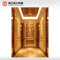 ZhuJiangFuJi 6-Person Painted Steel Passenger Elevator1