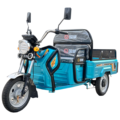 1000W Electric Tricycle for Cargo - Gowei Three Wheeler for Farm Use1