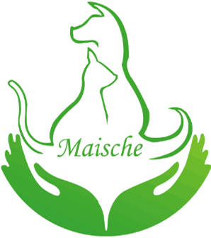 Hebei Maische Pet Food Co., Ltd.