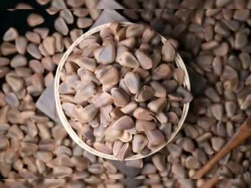 160g Organic Open Pine Nuts1