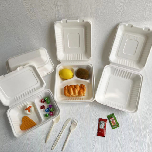 Hot Sale Bagasse Glamshell Food Container