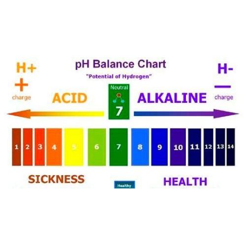 What does the p in pH stand for?