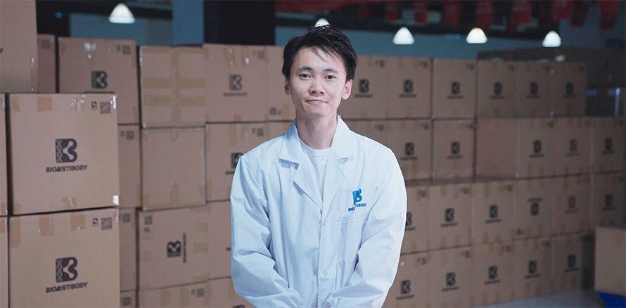 Bioantibody Biotechnology Co., Ltd.