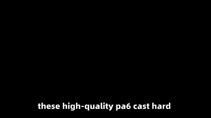PA6G -Besetzung