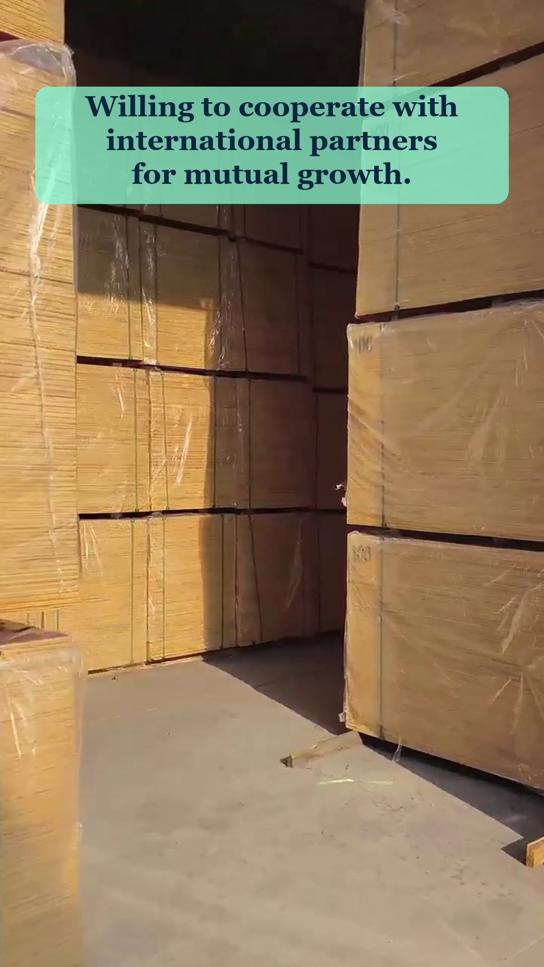 Video 105