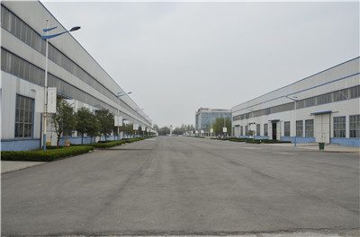 Shandong Qingneng Power Co., Ltd.