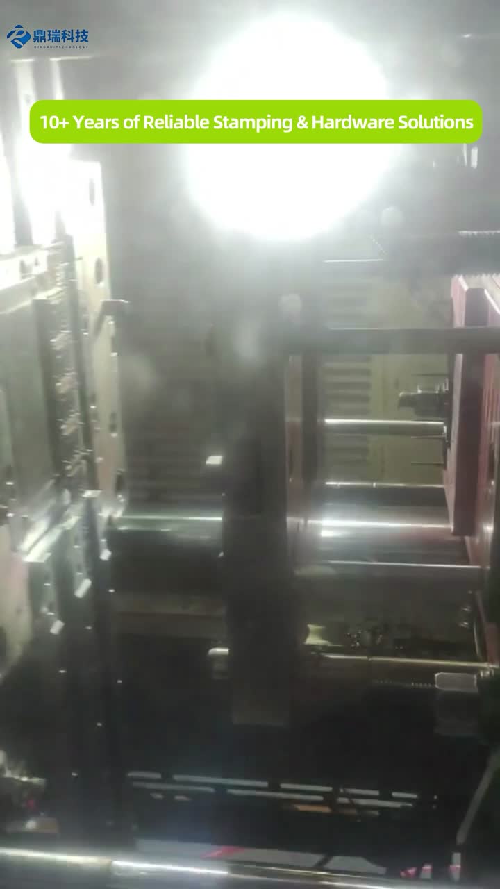 প্রকৃত শট ফুটেজ ভিডিও