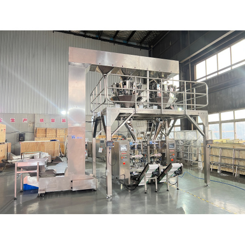 WPV200T packing machine