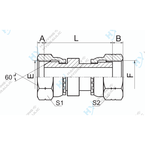 Bspp femelle 60 orfs femelle