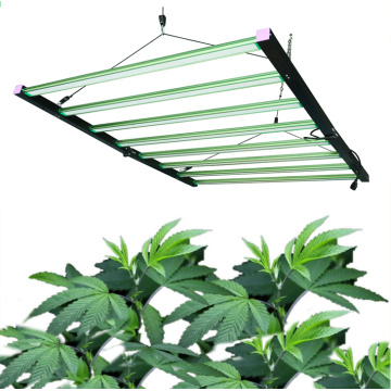 Ten Chinese Plant Grow Light Suppliers Popular in European and American Countries