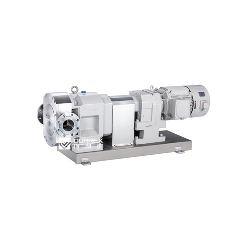 stainless steel rotary lobe pump