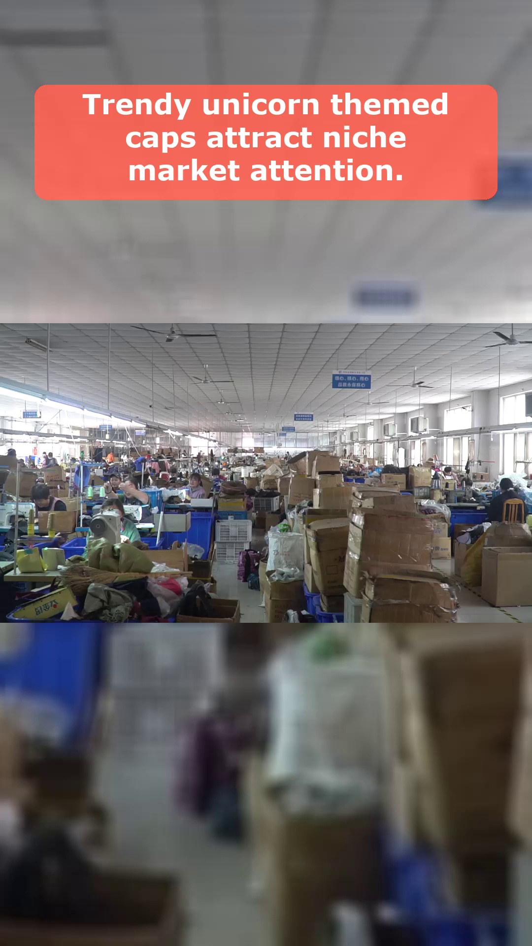 Video 46