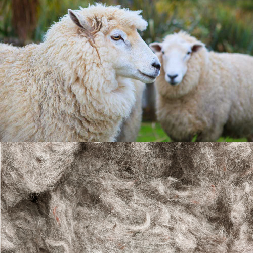 Embalagem leve e isolada para reduzir custos de envio na logística da cadeia de frio