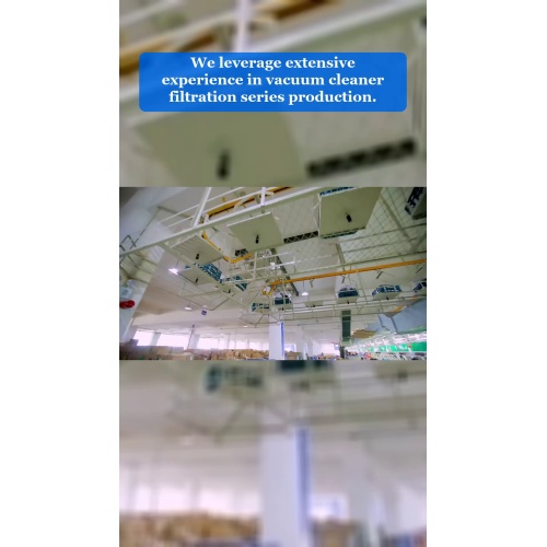 Video 135