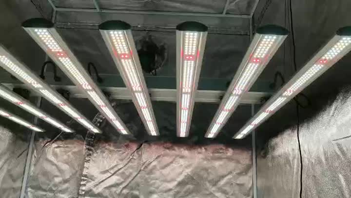640w LED-Lichtleiste