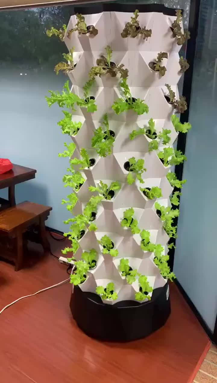 Hydroponic tower
