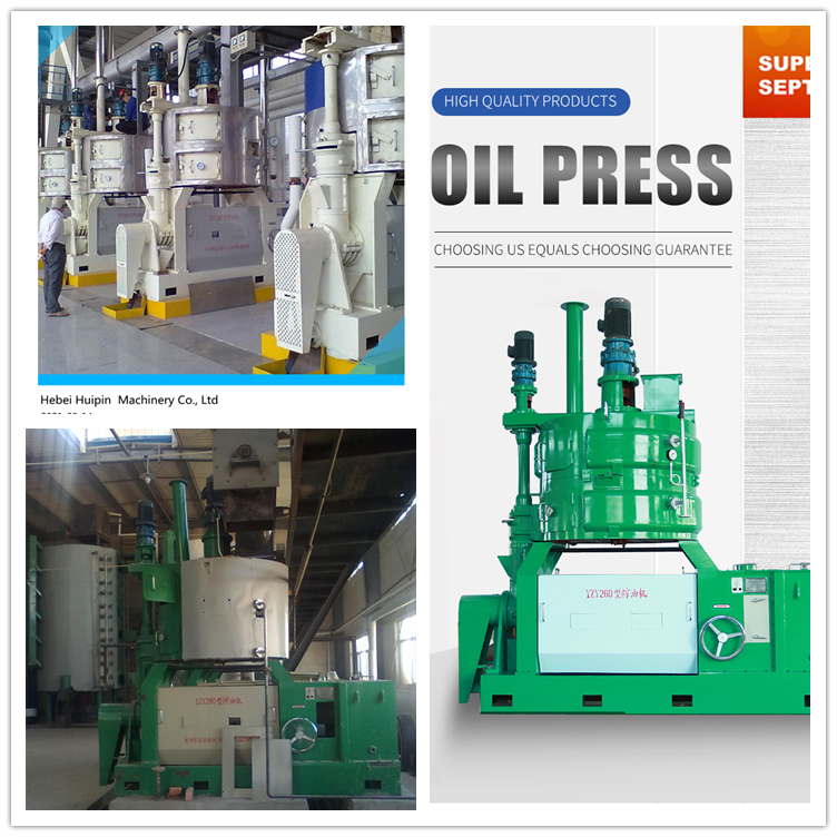 260 oil press plant