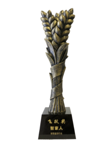 Sicherheitsüberwachungspreis Auszeichnung