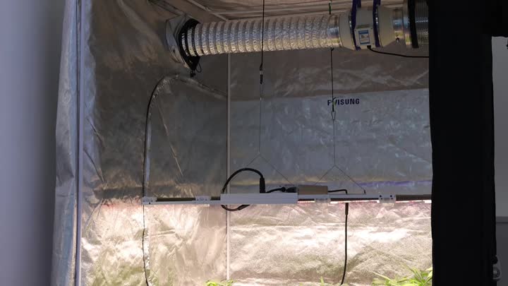 730W waterproof grow light for hydroponic plant