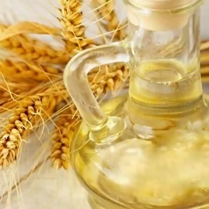 Hot selling wheat oil
