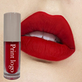 Low MOQ Super Stay Liquid Waterproof Private Label Velvet Matte Lipstick1