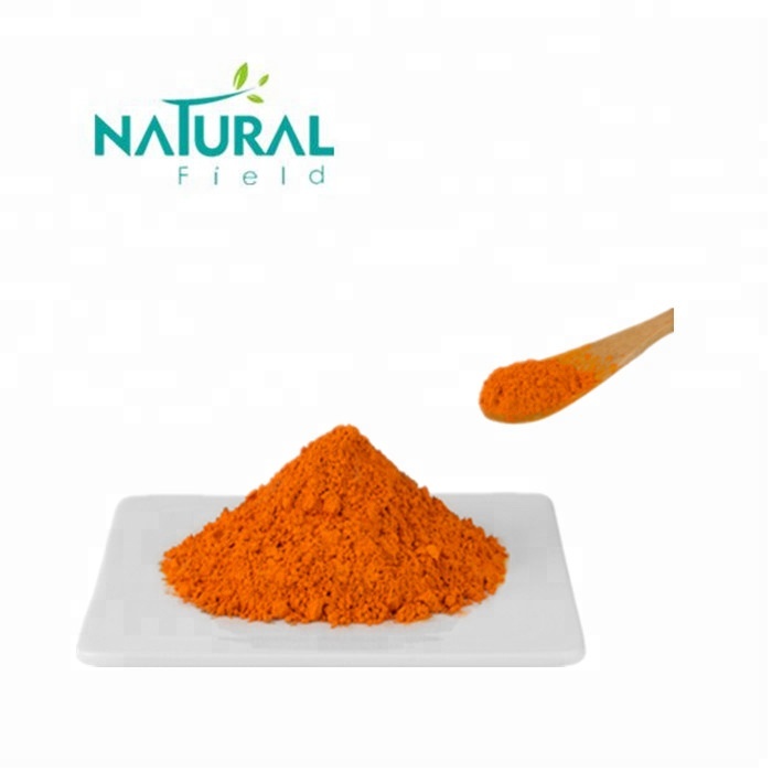 Bubuk Ekstrak Akar Kunyit 95% Curcumin