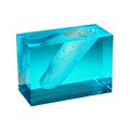 Yuyao DN Epoxy Resin: Dye, Cast, and Craft Supplies1