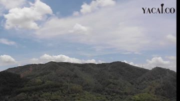 雅彩宣传片