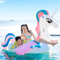 Fruit Rainbow Animal Summer Swimming Pool Chaise Lounge1