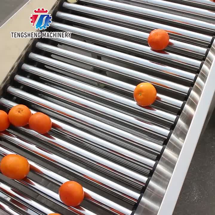 TS-FS450B Classificador de frutas comercial totalmente automático