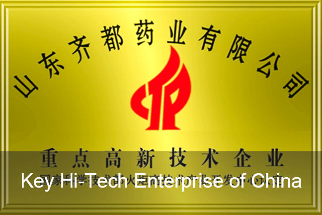 Key Hi-tech Enterprise of China