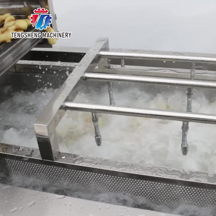 TS-X300A Grande máquina de lavar industrial de frutas e vegetais