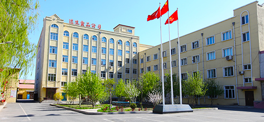 Harbin Dasheng meat products Co., Ltd